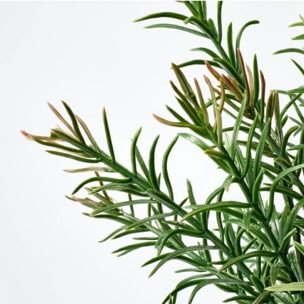 Studio McGee x Threshold Faux Potted Plant